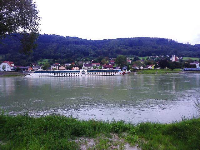 Die Donau hat eine hohe geografische, historische und kulturelle Bedeutung in Europa und ist im deutschen Sprachraum in ihrer Bedeutung dem Rhein vergleichbar. Hinsichtlich des Einzugsgebietes steht sie mit 796.000 km (8 % der Fläche Europas; nach anderen Quellen 817.000 km) hinter der Wolga (1.360.000 km) und vor dem Dnepr (531.817 km) an zweiter Stelle.