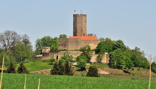 Die Burg Steinsberg ist die zum Teil restaurierte Ruine einer mittelalterlichen Höhenburg im Ort Weiler, einem Stadtteil von Sinsheim im Rhein-Neckar-Kreis (Baden-Württemberg).