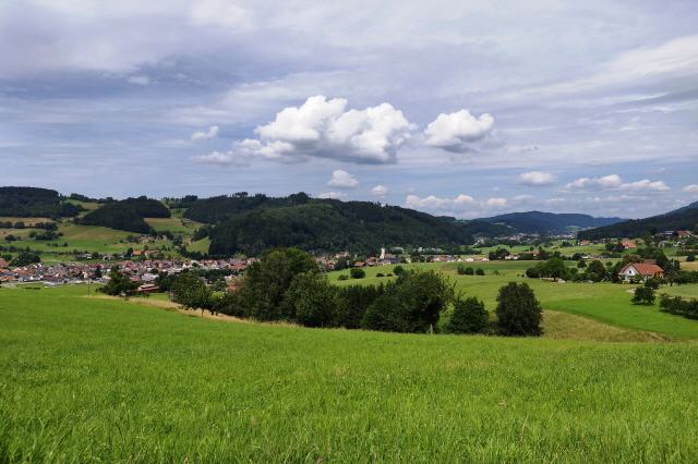 Das Elztal ist ein Tal 15 km nördlich von Freiburg im Breisgau im Landkreis Emmendingen in Baden-Württemberg (Deutschland) und verdankt seinen Namen der Elz, die das Tal durchfließt. Zusammen mit dem Simonswäldertal wird das Tal vom örtlichen Tourismusverband als ZweiTälerLand beworben.
