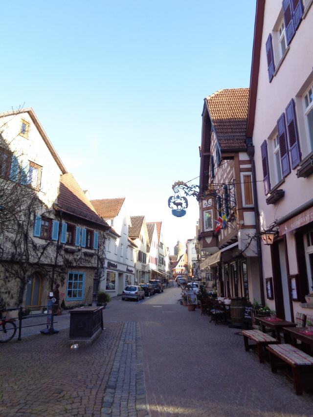 Besigheim ist eine Kleinstadt im Landkreis Ludwigsburg etwa 25 km nördlich von Stuttgart und 15 km südlich von Heilbronn. Sie gehört zur Region Stuttgart und zur europäischen Metropolregion Stuttgart. Seit dem 18. Oktober 2005 ist Besigheim ein staatlich anerkannter Erholungsort.