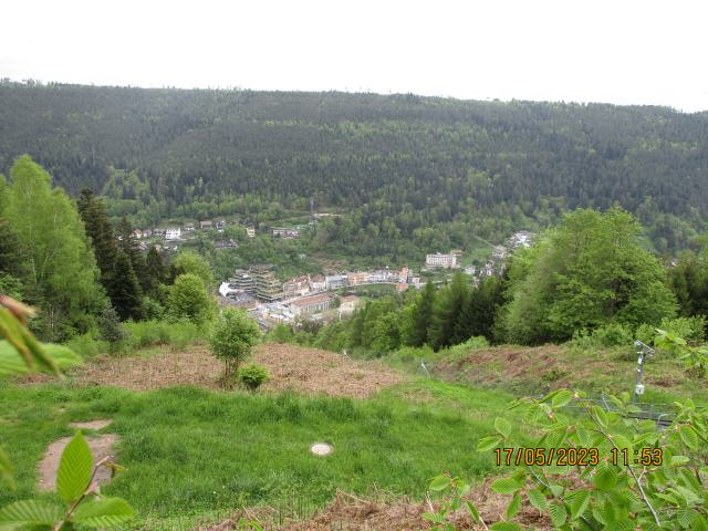 Bad Wildbad liegt im dicht bewaldeten nördlichen Schwarzwald am Grunde des eng in die Buntsandsteinhochflächen eingeschnittenen Tales der Enz, eines Nebenflusses des Neckars. Im Ortsteil Calmbach vereinigen sich die beiden Quellflüsse Kleine Enz und Große Enz zur eigentlichen Enz. Die Höhenlage der Gemarkung beträgt zwischen 374 m ü. NHN und 956 m ü. NHN.[2] Innerhalb der naturräumlichen Gliederung des Schwarzwaldes zählt Bad Wildbad zum Naturraum Grindenschwarzwald und Enzhöhen.