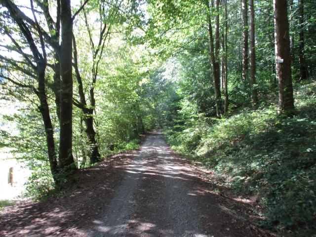 Unterwegs zur Burg Fleckenstein