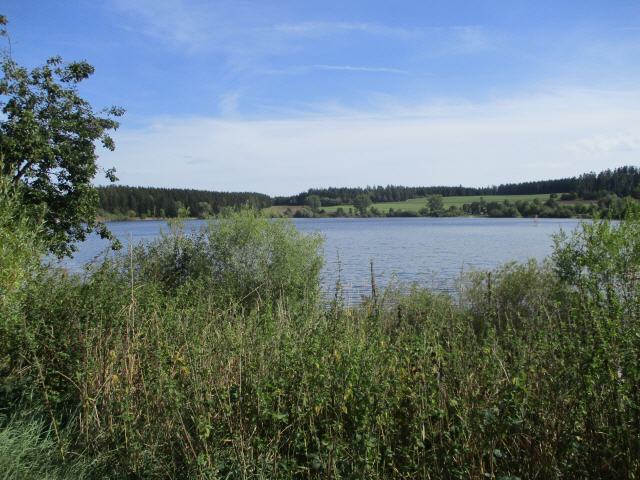 Das Gebiet Kirnbergsee ist ein vom Landratsamt Donaueschingen am 28. November 1960 durch Verordnung ausgewiesenes Landschaftsschutzgebiet auf dem Gebiet der Stadt Bräunlingen..