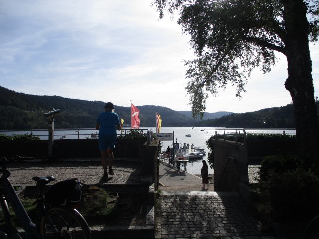 Der Titisee ist ein See im südlichen Schwarzwald in Baden-Württemberg. Er bedeckt eine Fläche von 1,07 km2 und ist durchschnittlich 20 m tief. Seine Entstehung verdankt er dem Feldberg-Gletscher, dessen im Pleistozän entstandene Moränen heute seine Ufer bilden. Gespeist wird er von dem das Bärental durchfließenden Seebach, der am Seebuck, am Osthang des Feldberg-Massivs, dem Feldsee entspringt. Der Ausfluss des Sees auf 840 m ü. NHN ist die Gutach, die ab dem Zusammenfluss mit der Haslach unterhalb von Kappel den Namen Wutach trägt. Damit entwässert der Titisee schließlich zusammen mit der Wutach zwischen Tiengen und Waldshut in den Hochrhein. Am Nordufer liegt der gleichnamige Kurort, der Teil der Stadt Titisee-Neustadt ist. Der südwestliche Teil liegt auf Hinterzartener Gemarkung. Die Wasserqualität des Titisees wird an den beiden Badestellen Strandbad und Sandbank während der Badesaison regelmäßig mit Wasserproben kontrolliert. Die Ergebnisse der Laboruntersuchungen sind über die Badegewässerkarte des Landesgesundheitsamts abrufbar.