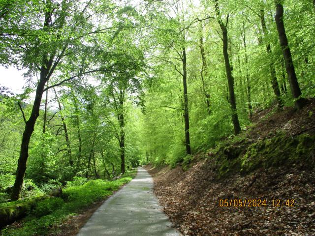 Der Dt.-Frz. Pamina-Radweg-Lautertal begleitet die Lauter, die bis Wissembourg Wieslauter heißt, nahezu auf ihrem gesamten Verlauf aus dem Pfälzerwald ab Hinterweidenthal bis zur Mündung in den Rhein. Da er fast ohne Steigung verläuft, ist er sehr einfach zu befahren.