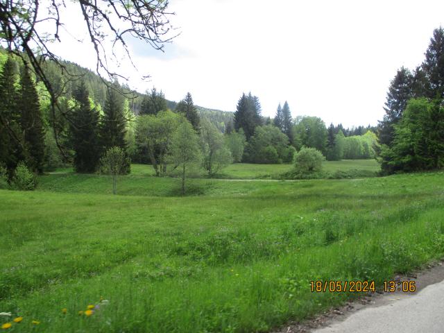 Schwarzwald Panorama Tour