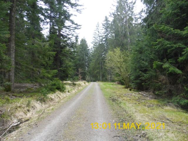 Der Kniebis ist ein bis zu 971 Meter hoher, langgezogener Bergrücken im Schwarzwald und ein im südlichen Teil darauf gelegenes Dorf. Diese Streusiedlung ist heute ein Ortsteil von Freudenstadt.