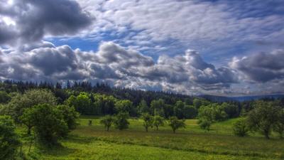 Panorama im Odenwald