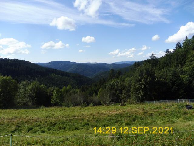 Panorama Blick über die Schwarzwald Berge