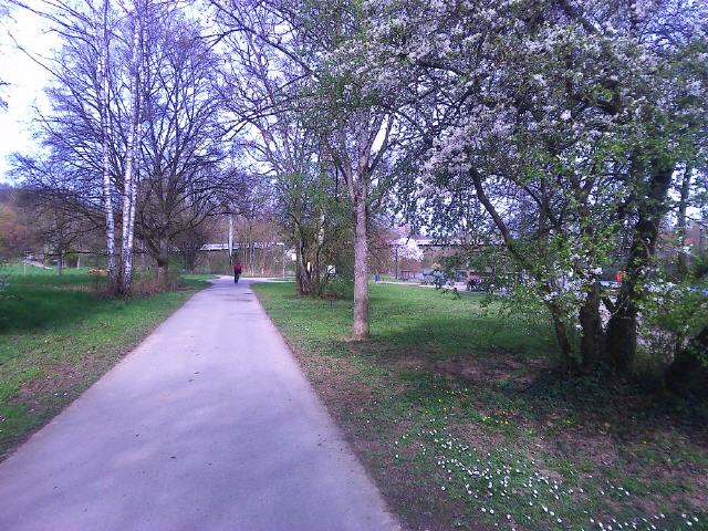 F&auml;hre in Greffern