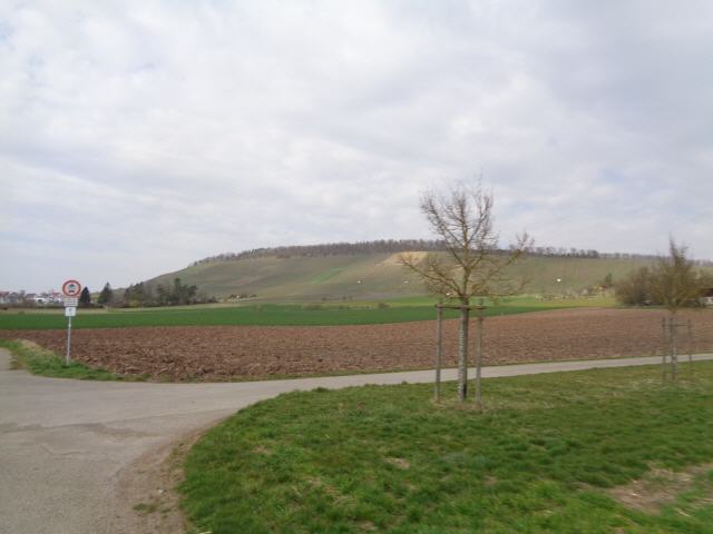 Im Kraichgau