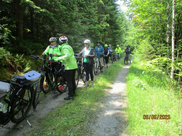 Im Schwarzwald unterwegs!