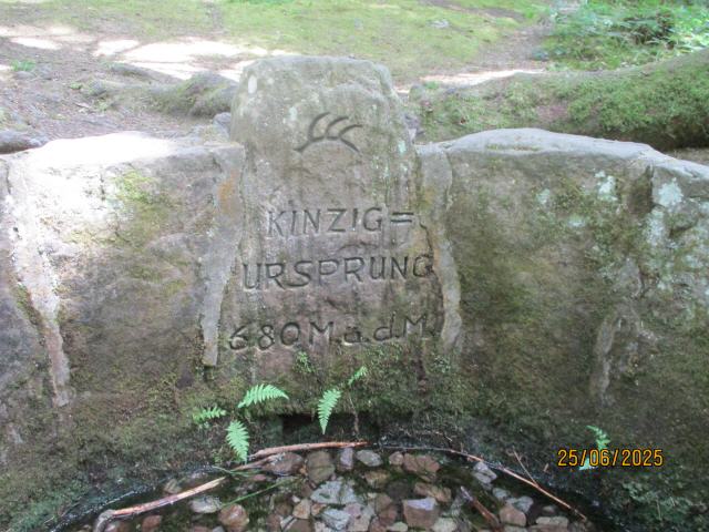 Kinzig Quelle bei Lossburg/Schw.
