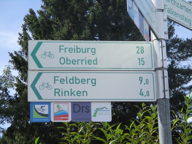 Der Rinken im Schwarzwald liegt auf einer H&ouml;he von 1196 m &uuml;. NHN. Er befindet sich am n&ouml;rdlichen Fu&szlig; des Feldbergs, nahe Hinterzarten. Die Passstra&szlig;e ist ein bekannter Anstieg f&uuml;r Rennradfahrer, insbesondere die steile Auffahrt von Oberried durch das Zastlertal.