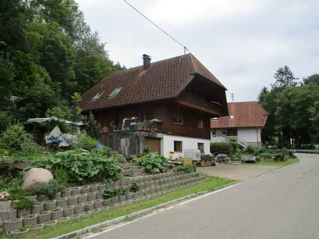 Auf der Bollenhut Tour/Schw.