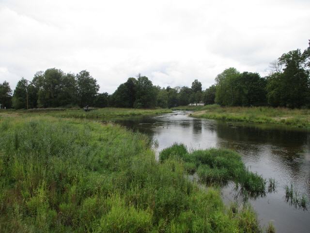 Die junge Donau
