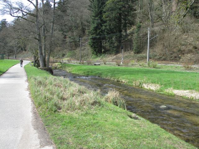 Landschaft im Albtal