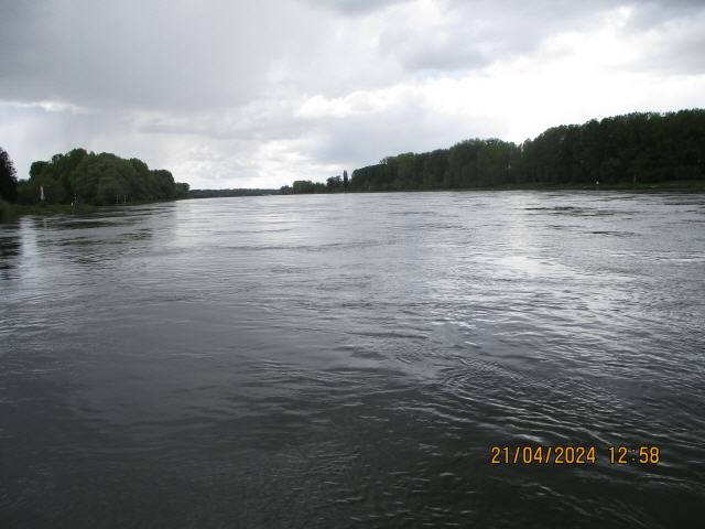 Der Rhein bei Neuburgweier