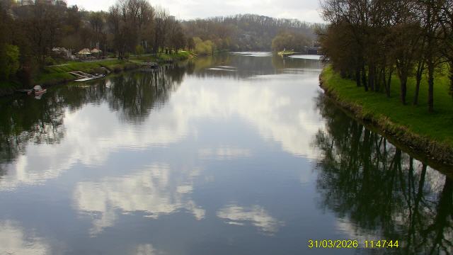 Der Neckar bei Marbach