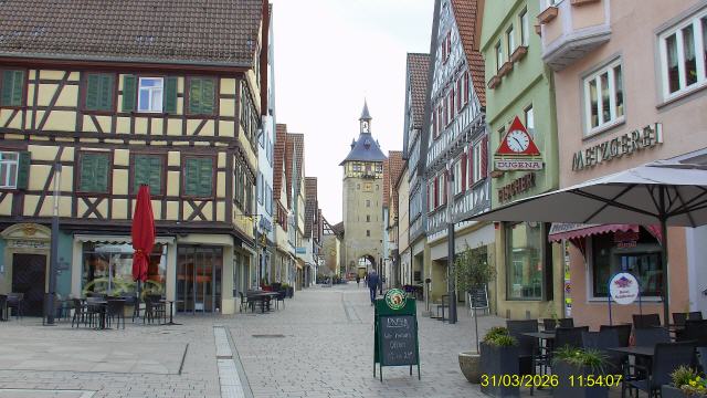 Marbach am Neckar ist eine Stadt mit 15.474 Einwohnern (31. Dezember 2024) im Landkreis Ludwigsburg in Baden-W&uuml;rttemberg. Sie liegt etwa 20 Kilometer n&ouml;rdlich der Landeshauptstadt Stuttgart. Marbach am Neckar geh&ouml;rt zur Region Stuttgart und zur europ&auml;ischen Metropolregion Stuttgart. Marbach ist bekannt als Geburtsstadt Friedrich Schillers, dem sie die seit 2022 offiziell gef&uuml;hrte Zusatzbezeichnung Schillerstadt verdankt.[2] Die Stadt ist Sitz des Schiller-Nationalmuseums, des Deutschen Literaturarchivs und des Literaturmuseums der Moderne.