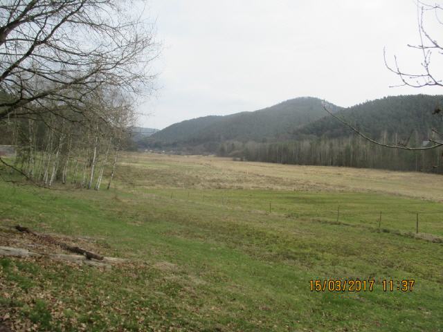 Die Landschaft zwischen Hauenstein und Anweiler/Trifels.